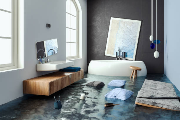 Best Water damage restoration near me  in Mount Morris, MI