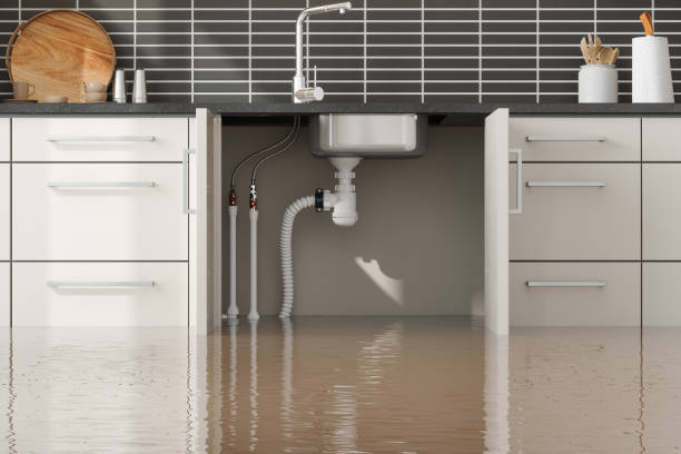 Best Professional water damage repair  in Mount Morris, MI