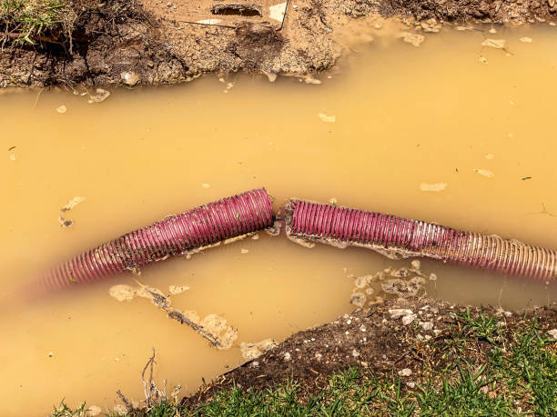 Best Sewage cleanup and water damage restoration  in Mount Morris, MI