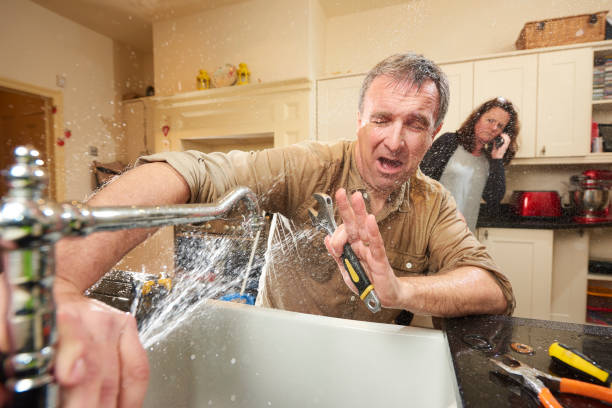 Best Water damage restoration insurance claims  in Mount Morris, MI